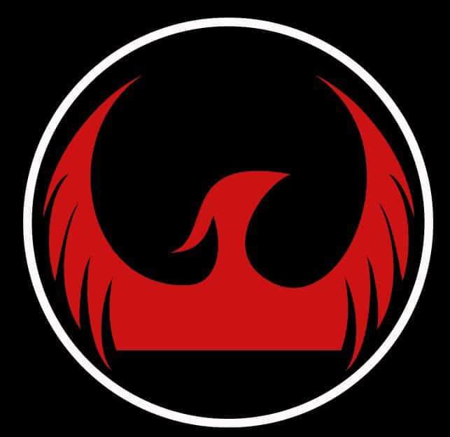 Idel Security Services